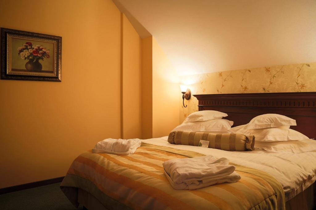 Hotel Foisorul Cu Flori Sinaia Extérieur photo